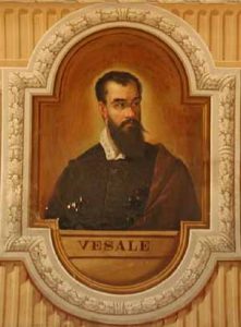 André VESALE